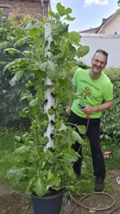 Vertikales Anbausystem mit einem zentralen weißen Rohr, umgeben von mehreren Ebenen üppiger Gemüsepflanzen mit großen grünen Blättern, die aus zahlreichen Löchern wachsen, in einem großen schwarzen Blumentopf mit integriertem Bewässerungssystem.