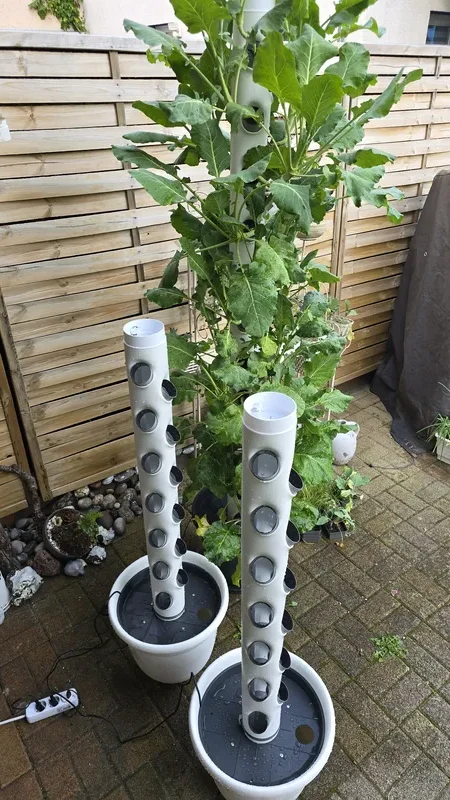 Hydrotower, Pflanzturm und Pflanzsäule für den Anbau von Erdbeeren im Garten.