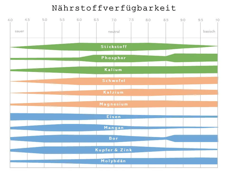 Diagramm zur Nährstoffverfügbarkeit in Abhängigkeit vom pH-Wert des Bodens.