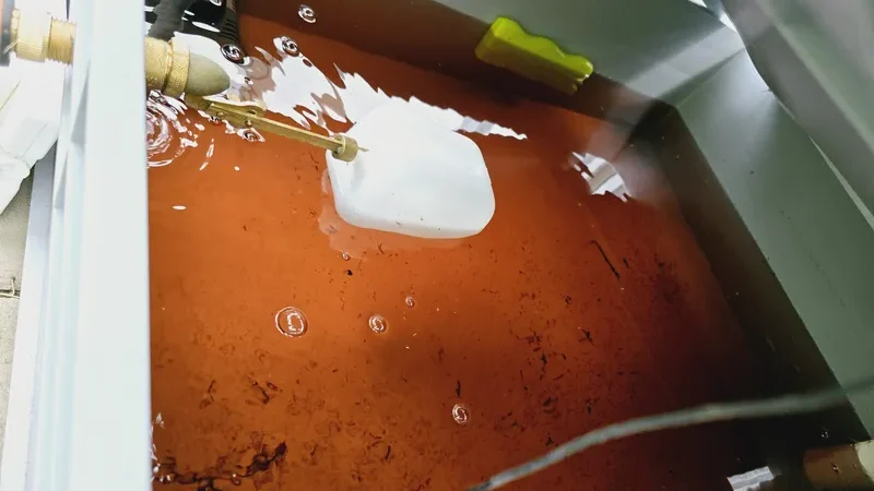 Die richtige Wassertemperatur in der Hydroponik