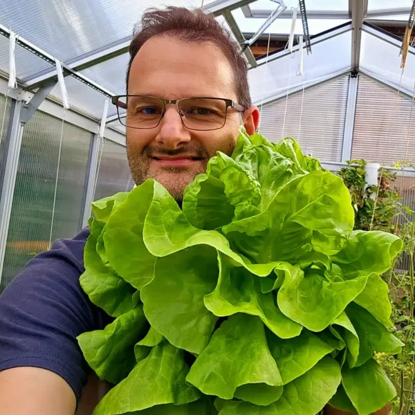 Frank Wagner hält einen hydroponisch angebauten Salat in den Händen