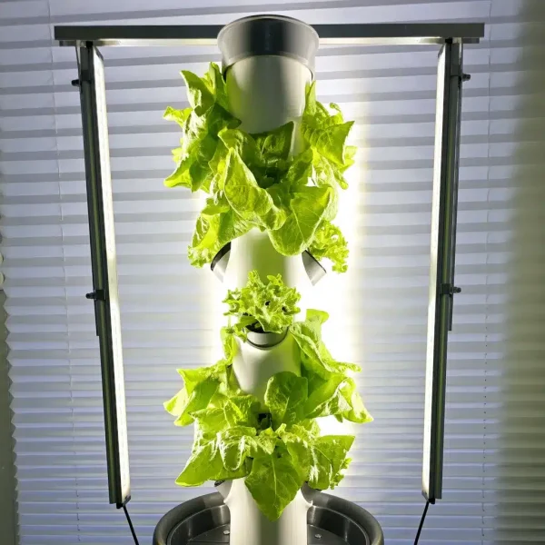 Mit LED Licht und Hydroponik das ganze Jahr frisches Gemüse ernten